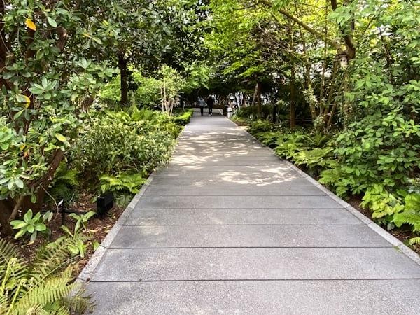 Custom concrete walkway in California beside a grassy lawn highlighting the smooth finished surface.