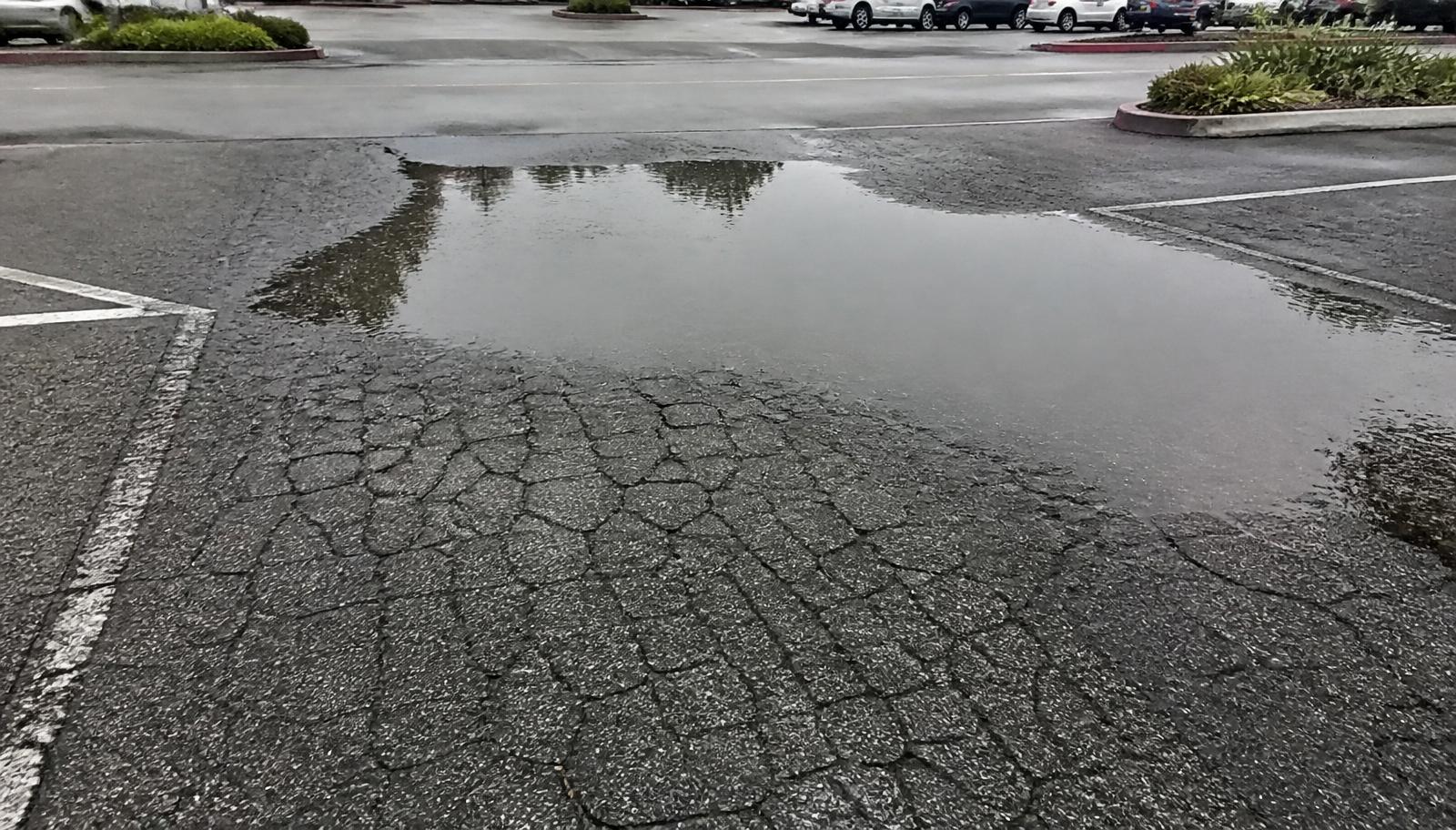 Alligator cracking and pooled water on a deteriorated asphalt parking lot