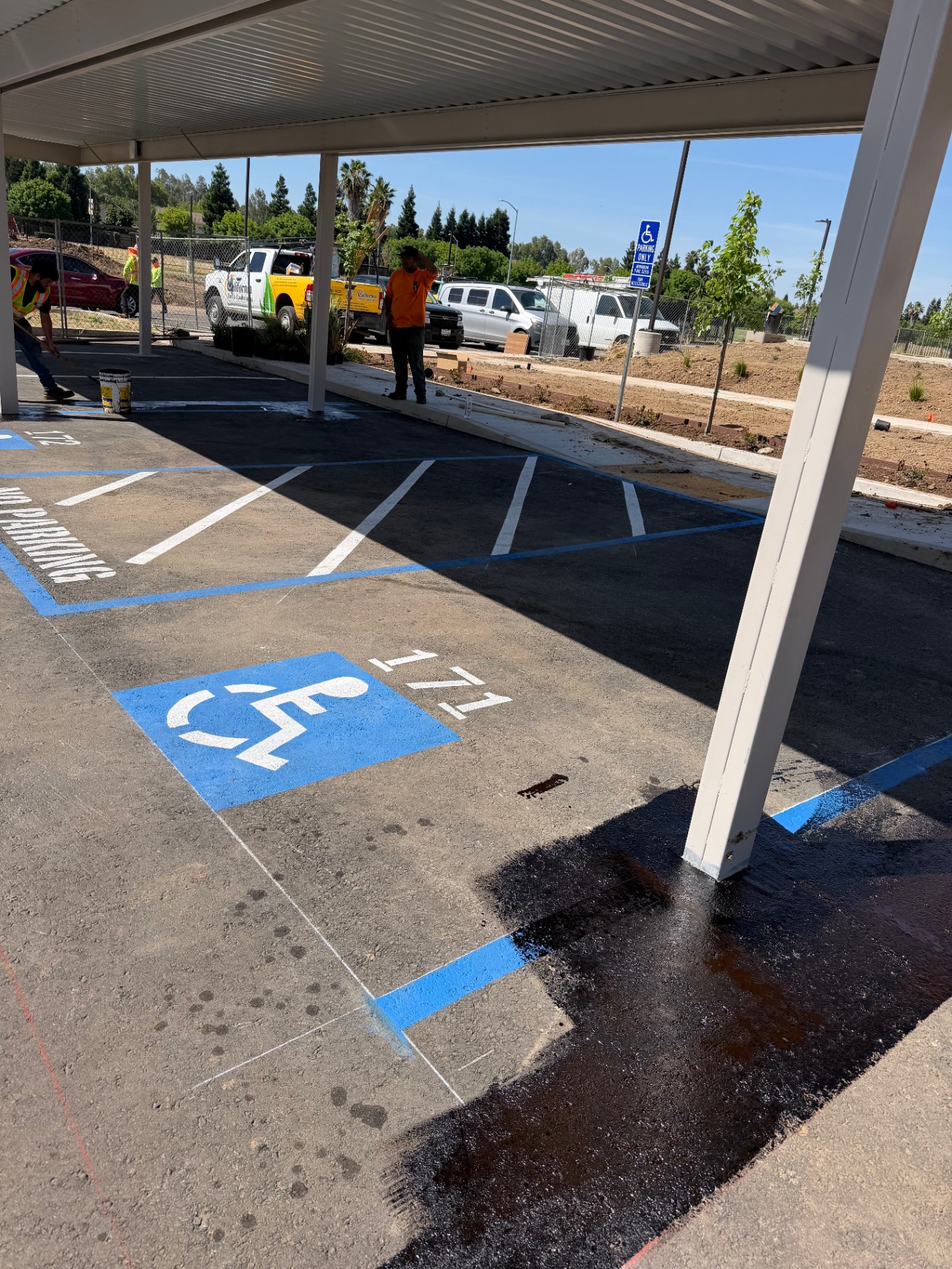 ADA Striping & Carport Lot